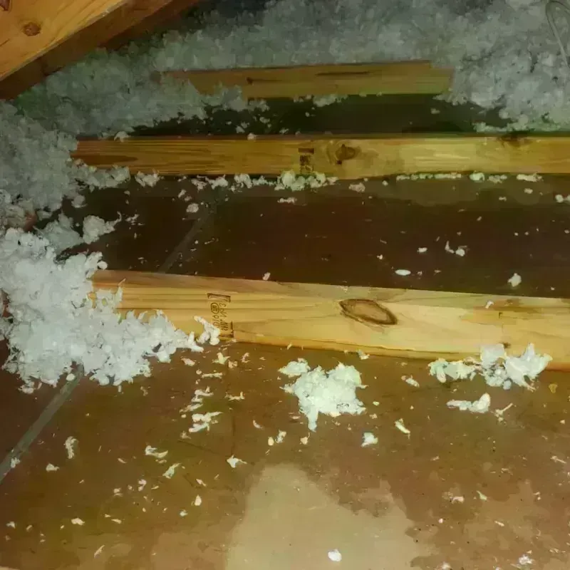 Attic Water Damage in Newark, NY