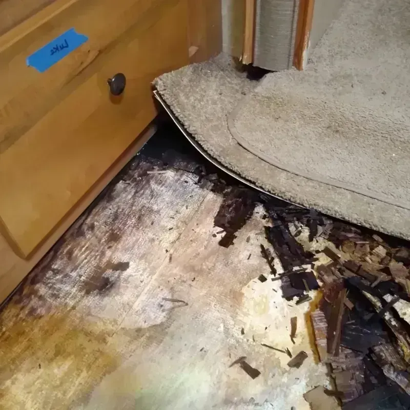 Wood Floor Water Damage in Newark, NY